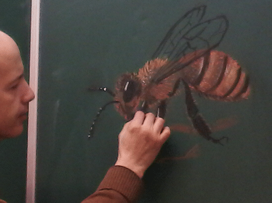 méhecske rajzolása az iskolai táblára